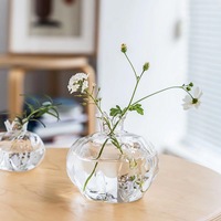 Vas Bunga Mini Hidroponik Desain Pastoral Delima Kecil Buatan Tangan Jepang Modern Sederhana Kreatif
