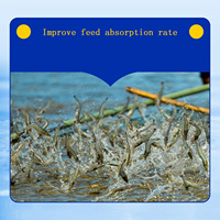 Prix de gros usine 25kg/sac Bacillus Subtilis pour le traitement de l'eau des étangs de poissons et crevettes