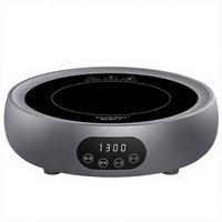 Bouilloire Électrique Multifonctionnelle 1300W, Mini Chauffe-Eau Portable à Ébullition Rapide avec Fonction Maintien au Chaud pour Maison et Bureau (OEM)