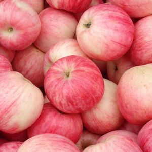 Bonne qualité alimentaire, nouvelle culture IQF <span class=keywords><strong>Fruit</strong></span> frais pelé, pomme congelée - Product Image 3