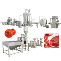 Machine de traitement concentré pour la Production de pâte de tomate et de comande, pour la fabrication de tomates en étain