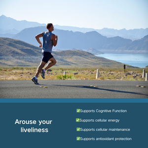 OEM/ODM |   L-メチレンブルー三水和物サプリメント - 細胞エネルギー＆脳の健康フォーミュラ - Product Image 2