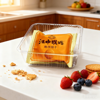 Boîtes d'emballage de biscuits transparentes pour animaux de compagnie boîtes carrées en plastique de plateau à gâteaux jetables et transparents pour plateaux à biscuits contenants alimentaires