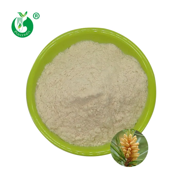 Pincredit Supply Free Sample 20:1 Cell Broken Pine Pollen Powder Extract