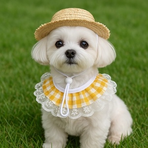 Ensemble chapeau de paille et bavoir en dentelle pour animaux de compagnie, pour chiens, chats, canards, <span class=keywords><strong>oies</strong></span>, décoration, bandana pour animaux, déguisement d'oie de porche, accessoire de décoration - Product Image 3