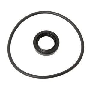 Kit di Tenuta per Pompa PAS ADATTO PER LAND ROVER - Product Image 1