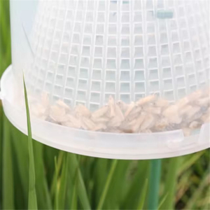 Trampa Profesional para el Control de Plagas Agrícolas, Atrapa Polillas del Arroz y Maíz, Control Biológico Ecológico - Product Image 4