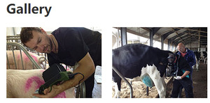 Siêu âm thú y cụ Chẩn đoán giá rẻ xách tay cầm tay dễ dàng scan động vật bác sĩ thú y máy siêu âm Máy rku10 - Product Image 3