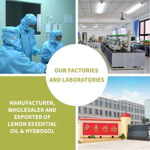 100% huile de <span class=keywords><strong>patchouli</strong></span> pure 10ml parfum naturel fixateur extrait de plante huile essentielle de <span class=keywords><strong>patchouli</strong></span> rouleau sur - Product Image 6