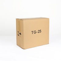 Amplificateur de guitare professionnel Deviser TG-25 en métal pour guitares électriques et acoustiques, fabriqué dans le Guangdong