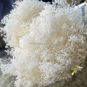 Ghirlande e Piante Floreali <span class=keywords><strong>Decorative</strong></span> Mini Fiori Stabilizzati Nebbiolina Fiori Secchi Ghirlande Bianche Bouquet Gypsophila YFM - Product Image 5