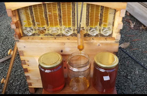 Tự động tự chảy mật ong 7 Bee Hive khung thiết lập nghề nuôi ong thiết bị công cụ nuôi ong - Product Image 3