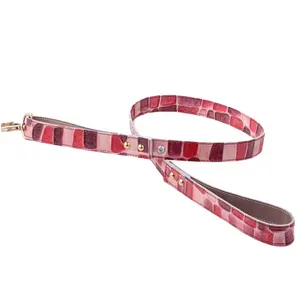 Personalized Flexible Luxury Wholesale Quality Cute Modern Dog Leash