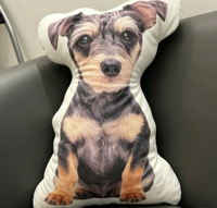 Almohadas Personalizadas con Fotos de Perros, Almohada Lumbar Sublimada con Forma Irregular para Gatos, Almohadas Decorativas para Exteriores con Fotos Personalizadas