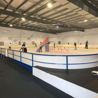 Panneau de protection pour patinoire synthétique en HDPE/PE résistant aux UV pour extérieur – Barrière murale professionnelle pour hockey sur glace, découpe facile pour la patinage