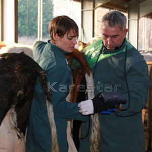 K-<span class=keywords><strong>S50</strong></span> Scanner de diagnostic de grossesse animale Machine à ultrasons portable vache cheval mouton - Product Image 6