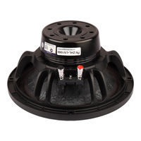 Altavoz PA de Neodimio de 10 Pulgadas, 16 Ohmios, 250W RMS, Bobina de Voz de 75mm, Woofer Profesional para Sistemas de Sonido Line Array en Estadios y Escenarios