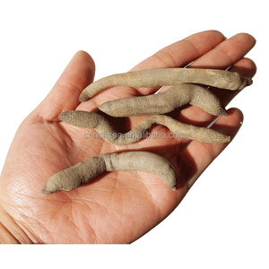 Mồi câu cá khô đóng băng bibiworm khô lugworm <span class=keywords><strong>BiBi</strong></span> giun cát - Product Image 6