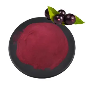 Acai Berry Bubuk Fuir Segar 100% Alami, dengan Kualitas Terbaik, Jus Bubuk Acai Berry, Rasa Terbaik untuk Minuman dan Kue