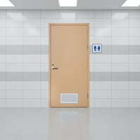 Porte de chambre d'hôpital en acier avec panneau de vision, grille de ventilation latérale, ouverture latérale, design minimaliste, fonction antivol, garantie 1 an