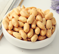 Snack d'arachides croustillantes séchées à l'ail, qualité alimentaire supérieure, prêt à consommer, en promotion