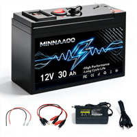 Paket Baterai Lithium OEM 12V 120Ah 100Ah 60ah 50ah 30ah Dengan Port USB BMS untuk Penyemprot Kendaraan Listrik Penyimpanan Tenaga Surya Berkemah
