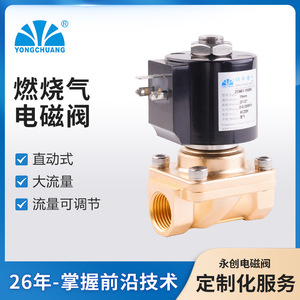 Yongchuang Solenoid Valve ZCM61 15mm G1/2 Gas AC220V Direct Acting Control Valve - Product Image 4