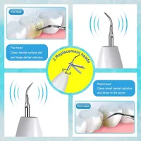 Nouveau Nettoyeur de Dents Électrique Portable 2026 à Haute Fréquence de Vibration, Sans Fil, Rechargeable, en Plastique, pour Éliminer le Tartre et la Plaque Dentaire