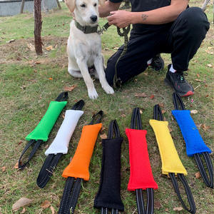 50 özelleştirebilirsiniz logo köpek römorkör oyuncak köpek sert jüt Bite yastık kalıcı eğitim ekipmanları yavru büyük köpekler için interaktif oyuncak - Product Image 1