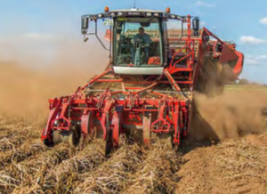 EVER-POWER Maquinaria agrícola Cadenas para cosechadoras de patatas Acero inoxidable Certificado ANSI/DIN/ISO de fabricantes chinos - Product Image 3