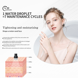 Máquina Coreana Avanzada de Contorno Facial con Tecnología de Gota de Agua para Rejuvenecimiento No Invasivo y Mejora de la Luminosidad - Product Image 3