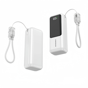 2525 New Custom Logo Mini Portable Small 22.5w Fast Charging Powerbank Promotional Gift 10000mAh with Cable