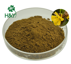 Nieuw Aangekomen <span class=keywords><strong>Forsythia</strong></span> <span class=keywords><strong>Extract</strong></span> Supplement 10:1 20:1 <span class=keywords><strong>Forsythia</strong></span> Poeder - Product Image 3