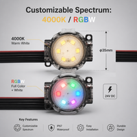 Lumières de Noël extérieures 24V 35mm, prix d'usine, lumières ponctuelles étanches RGB pour les fêtes, lumières LED pixel