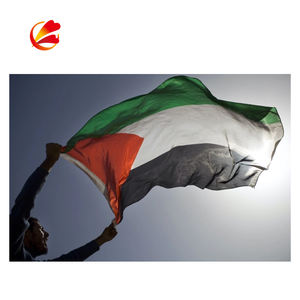 Новинка 2021, лидер продаж, Индивидуальный маленький или большой национальный флаг Палестины любого размера - Product Image 6