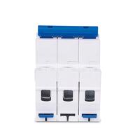 Disjoncteurs miniatures CHINT NXHB (MCB) - Courant nominal 20A-125A, disponibles en 1P/2P/3P/4P, adaptés aux systèmes 230V/400V.