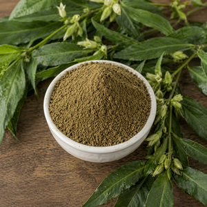 Polvo de Semillas de Ajwain, Especia Seca, Polvo Herbal Crudo, Condimento de Una Sola Hierba para Mezclas de Condimentos - Product Image 1