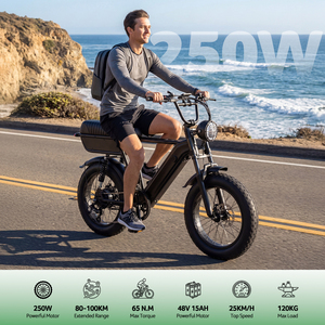 Vélo <span class=keywords><strong>électrique</strong></span> Fatbike YANGOR Y20 Plus 20 pouces, 48V 250W, style vintage, avec pneus larges, disponible en entrepôt UE - Product Image 6