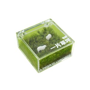 Miniatura de césped artificial para decoración de escritorio, oficina, planta verde creativa, adorno DIY, regalo para la temporada de graduación - Product Image 5