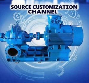 Pompes à double aspiration : débit élevé, stables et durables pour les systèmes d'eau industriels - Product Image 2