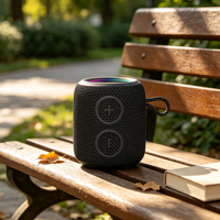 Mini-enceinte sans fil TWS RGB V5.3 étanche IPX7 avec micro intégré pour ordinateur et téléphone portable – Vente en gros audio