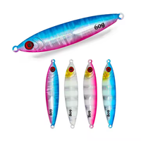OEM CHAUDE 40g 60g 3D Leurre de pêche au bar en tungstène Off Shore Long Cast Tungsten Jigs Leurre