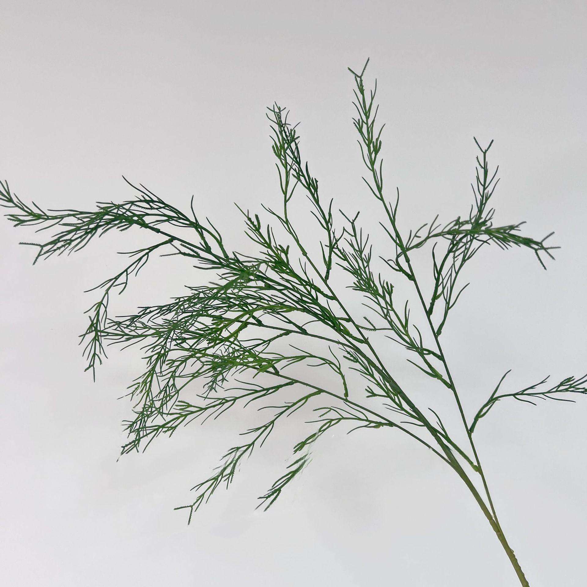 หญ้ากกสีเขียวเข้ม