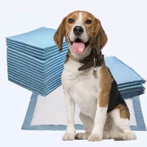 Meilleures ventes : Coussinets absorbants écologiques pour chien, couches pour animaux de compagnie à haute absorption, pour l'urine canine - Product Image 2