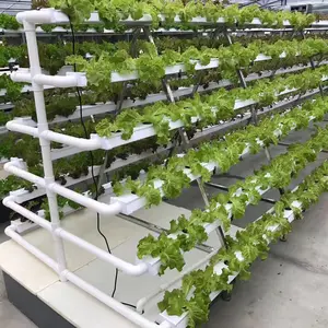 Chinese Manufacturers Direct Factory Eco-friendly Pvc Hydroponics Gutter Plastic Nft Hydroponic