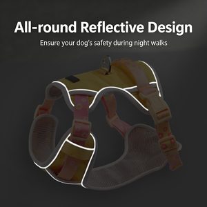 Harnais pour chien de haute qualité avec sangle réglable en nylon, anneau en <span class=keywords><strong>D</strong></span>, harnais de poitrine anti-évasion, laisse brodée pour chien - Product Image 3