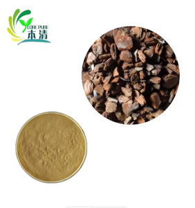 Estratto di <span class=keywords><strong>Corteccia</strong></span> di Pino Coreano Puro per la Salute, in Polvere 4:1 10:1 20:1 HLE10% Naturale di Alta Qualità, Fusto da 1kg MOQ - Product Image 2