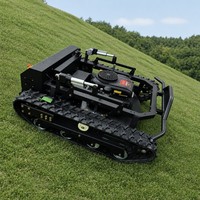 Tondeuse à fléaux télécommandée pour vignobles, 900 mm, à chenilles étroites, pour entre-rangs, certifiée CE EPA ISO9001, directement de l'usine