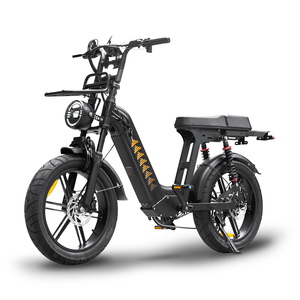 Bicicleta Eléctrica en Stock en la UE, Ebike D50 250W 48V 18.2AH, Freno de Disco Doble, Suspensión Doble, 20 Pulgadas, 50 km de Autonomía, Fatbike - Product Image 2