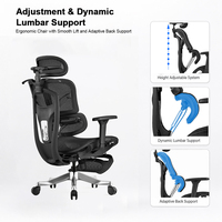 Chaise de bureau ergonomique entièrement en mesh avec support lombaire à gaz, appuie-tête réglable et réglage de la profondeur du siège